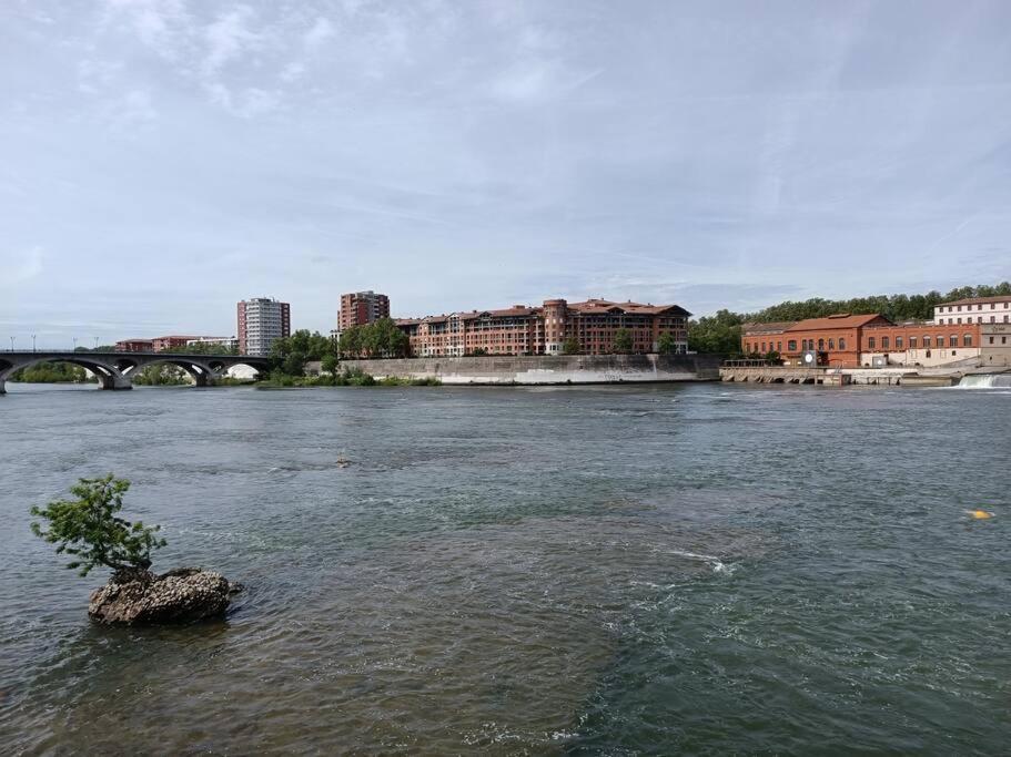 Ferienwohnung T3 Lumineux - Berges De La Garonne - Parking Toulouse Exterior foto
